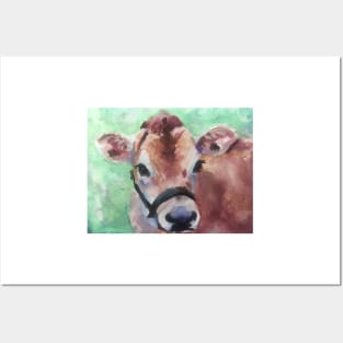 Jersey Cow Posters and Art